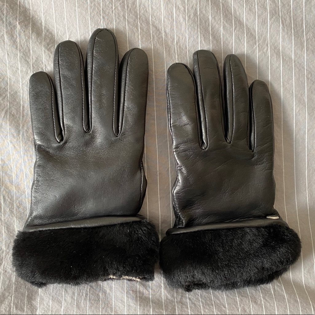 Ugg | Gloves